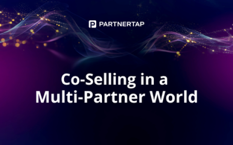 The Partner Architects Group | Strategic Partners